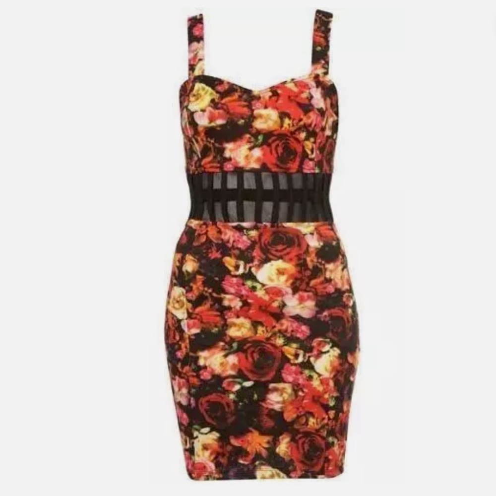 Motel Rocks Bodycon Sexy Floral Club Rose Mesh Sheer Cocktail Party Mini Dress 8